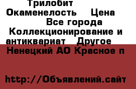 Трилобит Asaphus. Окаменелость. › Цена ­ 300 - Все города Коллекционирование и антиквариат » Другое   . Ненецкий АО,Красное п.